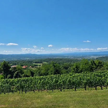 Vineyard - Ana Hébergement de vacances Metlika